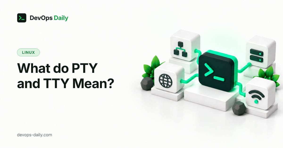 What do PTY and TTY Mean?